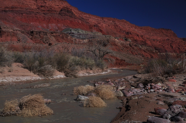 Paria Canyon Trail